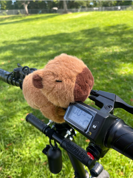 The FlexyBara Gym Rat